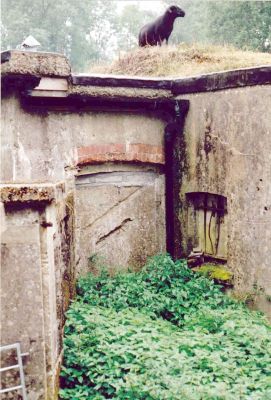 Click to enlarge Box Hill Mobilisation Centre West Courtyard