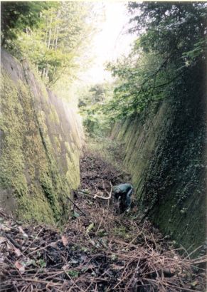 Pewley Hill Mobilisation Centre