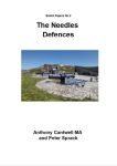 The Needles Defences