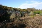 Fort Scoveston casemates