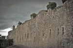 Fort Camden: Gorge wall